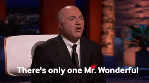 mr wonderful gif